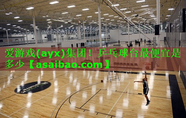 爱游戏(ayx)集团！乒乓球台最便宜是多少