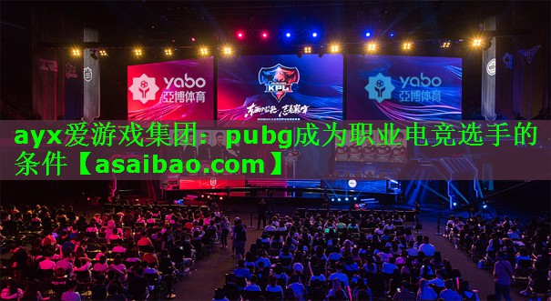 pubg成为职业电竞选手的条件