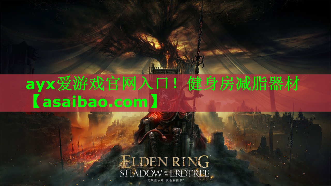 健身房减脂器材 健身房减脂器材